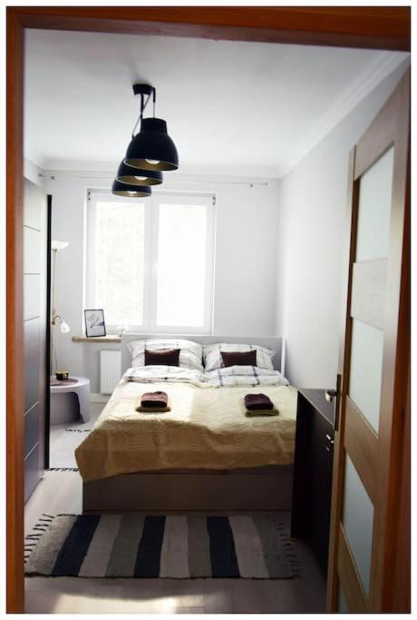 Apartment Color 24 Vii *