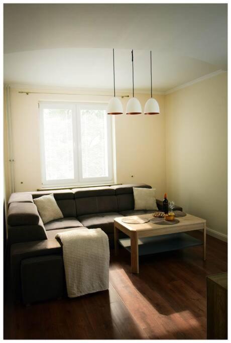 Color 24 Vii Apartment Stalowa Wola
