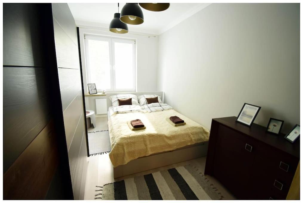 Color 24 Vii Apartment