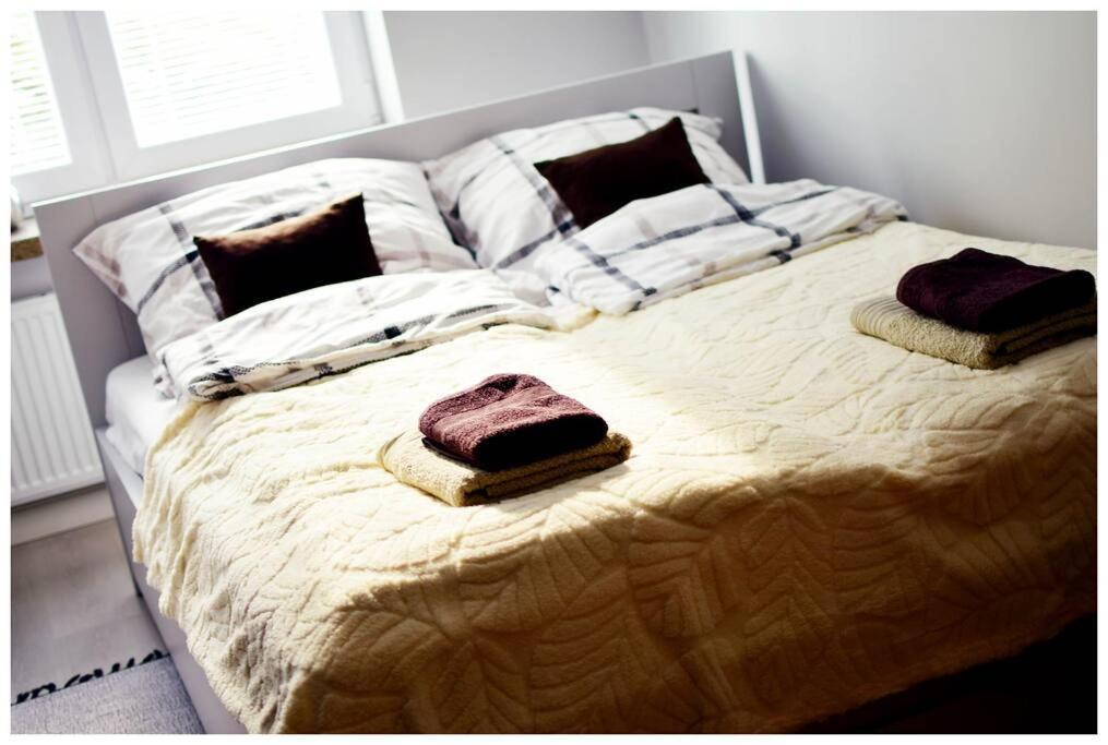 Apartment Color 24 Vii *